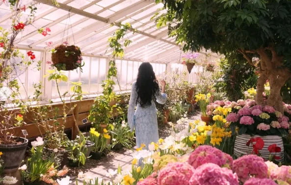 Rafa walking through a sunlit greenhouse
